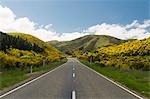 Paved road in rural landscape