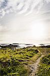 Dirt road in rural coastline