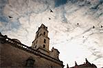 Birds flying over cathedral tower