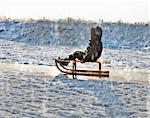 Boy sledding in snow