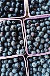 Close up of punnets of blueberries