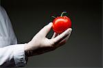 Gloved hand holding tomato