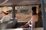 People looking at wildlife through vehicle window, Stellenbosch, South Africa