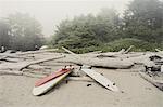 Surfboards on misty beach, Tofino, Vancouver Island, Canada