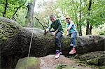 Boys fishing from a fallen tree