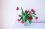 Pink tulips in glass vase