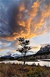 North Saskatchewan River, Mount Erasmus and Mount Wilson, Banff National Park, Alberta, Canada