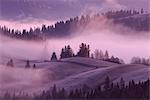 Misty sunrise, Krasnik village area, Carpathian Mountains, Ivano-Frankivsk region, Ukraine