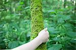 Hand touching moss on tree trunk