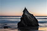 Rock and seabirds at El Matador beach, Malibu, California, USA