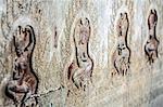 Carvings of dancers in Angkor Wat, Siem Reap, Cambodia