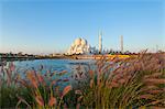 Sheikh Zayed Mosque at daytime, Abu Dhabi,  United Arab Emirates