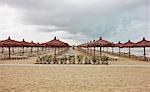 Rows of beach umbrellas and sun loungers on beach, Pescara, Ambruzzo, Italy