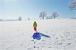 Young boy walking in snow, pulling sled behind him, rear view