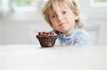 Young boy staring at chocolate muffin