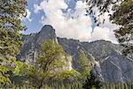 View of mountains and trees, Yosemite National Park, California, USA