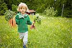 Portrait of boy carrying bunches of carrots across garden