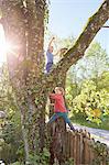 Two young boys climbing tree