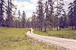 Mature woman walking on dirt road, rear view, Ehrwald, Tyrol, Austria