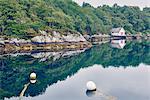 Reflection of boathouse and trees in calm water, Haugesund, Rogaland County, Norway