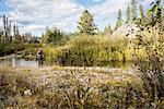 Man in river fly fishing near Lolo Pass in the Bitterroot Mountains, Missoula, Montana, USA