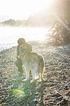 Woman crouching on bank of Bitterroot River stroking dog smiling, Missoula, Montana, USA