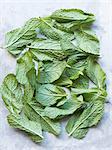 Overhead view of mint leaves