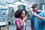 Colleagues in brewery sampling beer