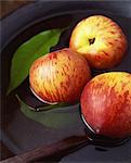 Three apples and leaves in vintage wooden bowl of water