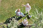 Three women talking together in garden, overhead view