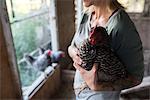 Woman holding chicken in chicken coop