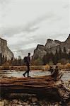 Male hiker on top of fallen tree trunk looking out at mountains, Yosemite National Park, California, USA