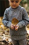 Boy holding brown leaf in forest