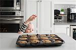 Young boy reaching up to freshly baked caked in baking tray