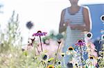 man watering flowers in garden