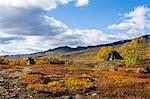 Wooden buildings in rural landscape