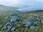 View of rocky coast