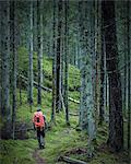 Man hiking through forest