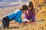 Girl and boy picking berries