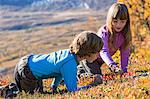 Girl and boy picking berries