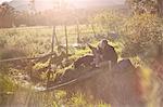 Young couple with camera phone taking selfie in sunny, remote field