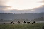 Group of five people on horses riding in a field under a sky with sun and storm clouds. Race horses on the gallops.
