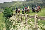 Group of riders on racehorses grouped on the race course, in a row. Waiting for the start.