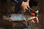 A farrier using tongs and hammer to hold and shape a red glowing heated metal horseshoe to be fitted.