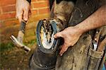 A farrier with a hammer fitting a new horseshoe.