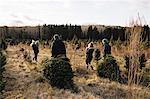 Parents and baby girls in Christmas tree farm, Cobourg, Ontario, Canada