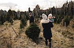 Parents and baby girl in Christmas tree farm, Cobourg, Ontario, Canada