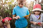 Children investigating leaves, Blowing Rocks Preserve, Jupiter, Florida, USA