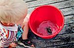 A boy looking at a crayfish in a bucket