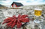 Crayfish and beer on rock